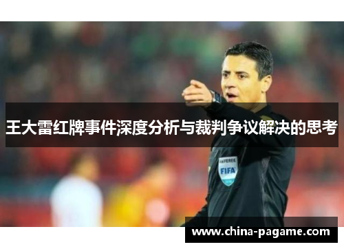 王大雷红牌事件深度分析与裁判争议解决的思考 王大雷红牌事件深度分析与裁判争议解决的思考