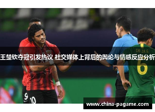 王楚钦夺冠引发热议 社交媒体上背后的舆论与情感反应分析