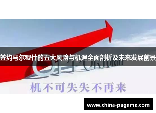 签约马尔穆什的五大风险与机遇全面剖析及未来发展前景