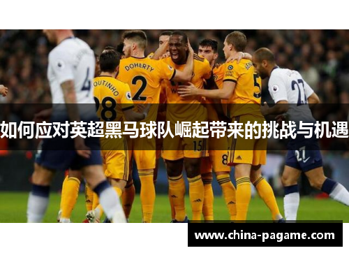 如何应对英超黑马球队崛起带来的挑战与机遇