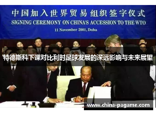 特德斯科下课对比利时足球发展的深远影响与未来展望