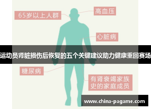 运动员肾脏损伤后恢复的五个关键建议助力健康重回赛场