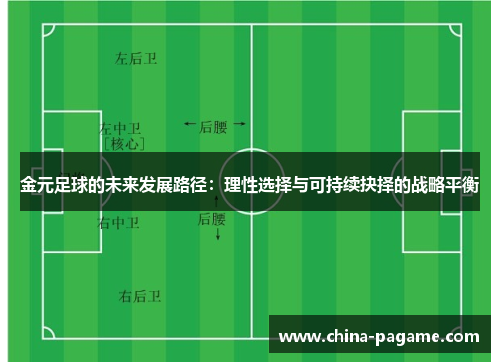 金元足球的未来发展路径：理性选择与可持续抉择的战略平衡