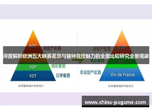 深度解析欧洲五大联赛差异与独特竞技魅力的全面比较研究全景观察
