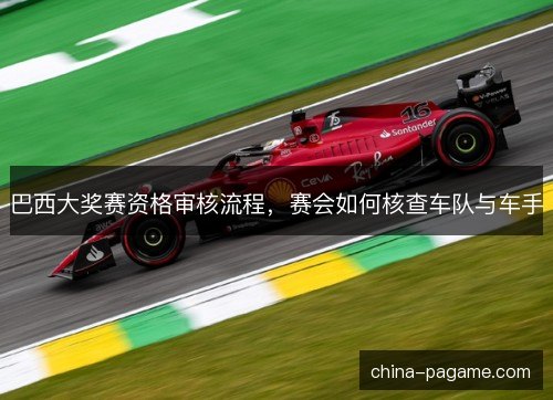 巴西大奖赛资格审核流程，赛会如何核查车队与车手